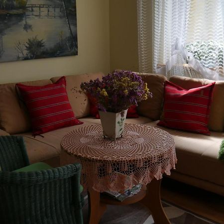 Vila Dom We Fromborku Exteriér fotografie